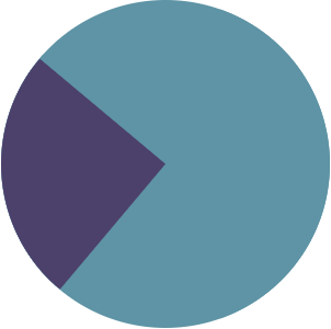 pie chart describing the amount of hands-on learning in physical therapy continuing education course